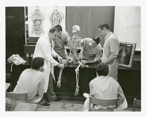 Prof. Crelin using a skeleton to demonstrate anatomy to students