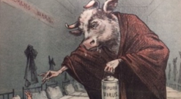 illustration of person with cow head