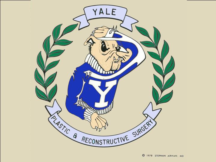 Plastic Surgery at Yale Surgical Expertise, Innovation