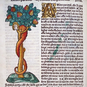 a medieval manuscript with a colorful illustration