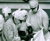 Image of a doctor performing a surgery.