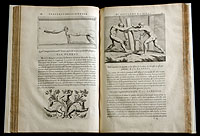 Trattato della pittura