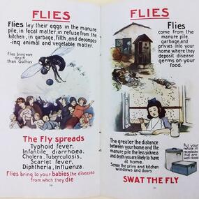 page spread from a children's book about how flies are born and spread