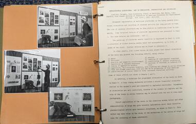 binder with images and clippings