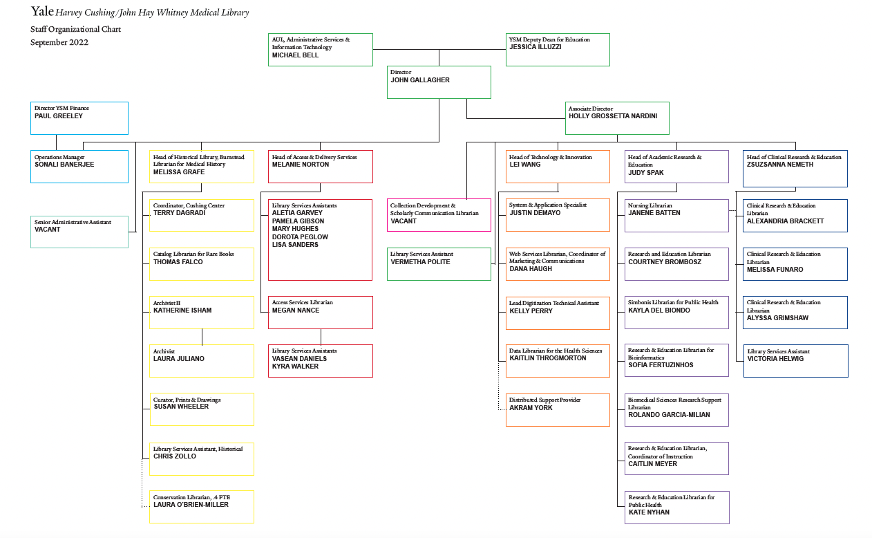 Organizational chart of the medical library, updated september 2022