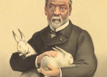 lithograph of a man holding two white rabbits looking at the camera