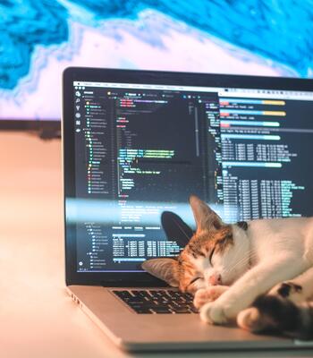 cat asleep on top of a laptop with an open screen showing code in a code editor