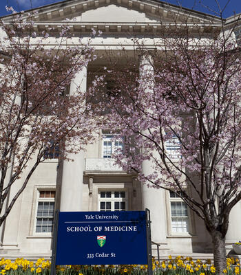 entrance of the yale school of medicine building with sign and cherry blossom trees