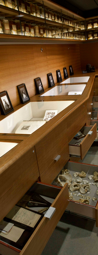 image of the Cushing Center at the medical library