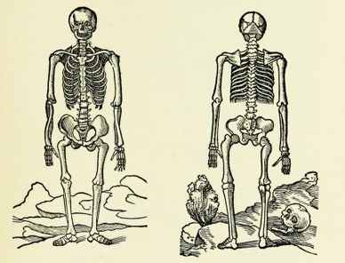 A Brief History of the Creepiness of Human Bones ‹ Literary Hub