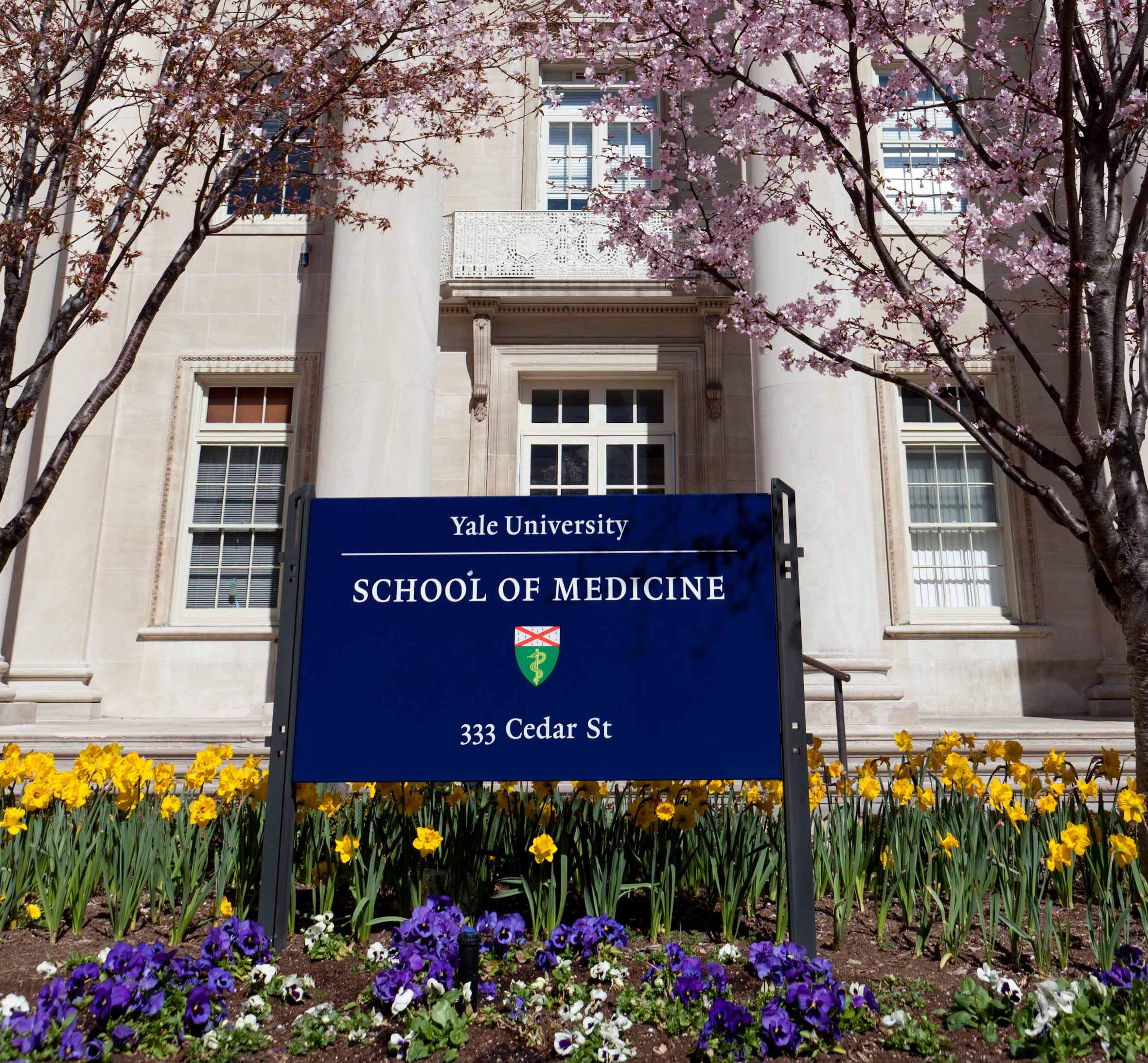 yale school of medicine front entrance