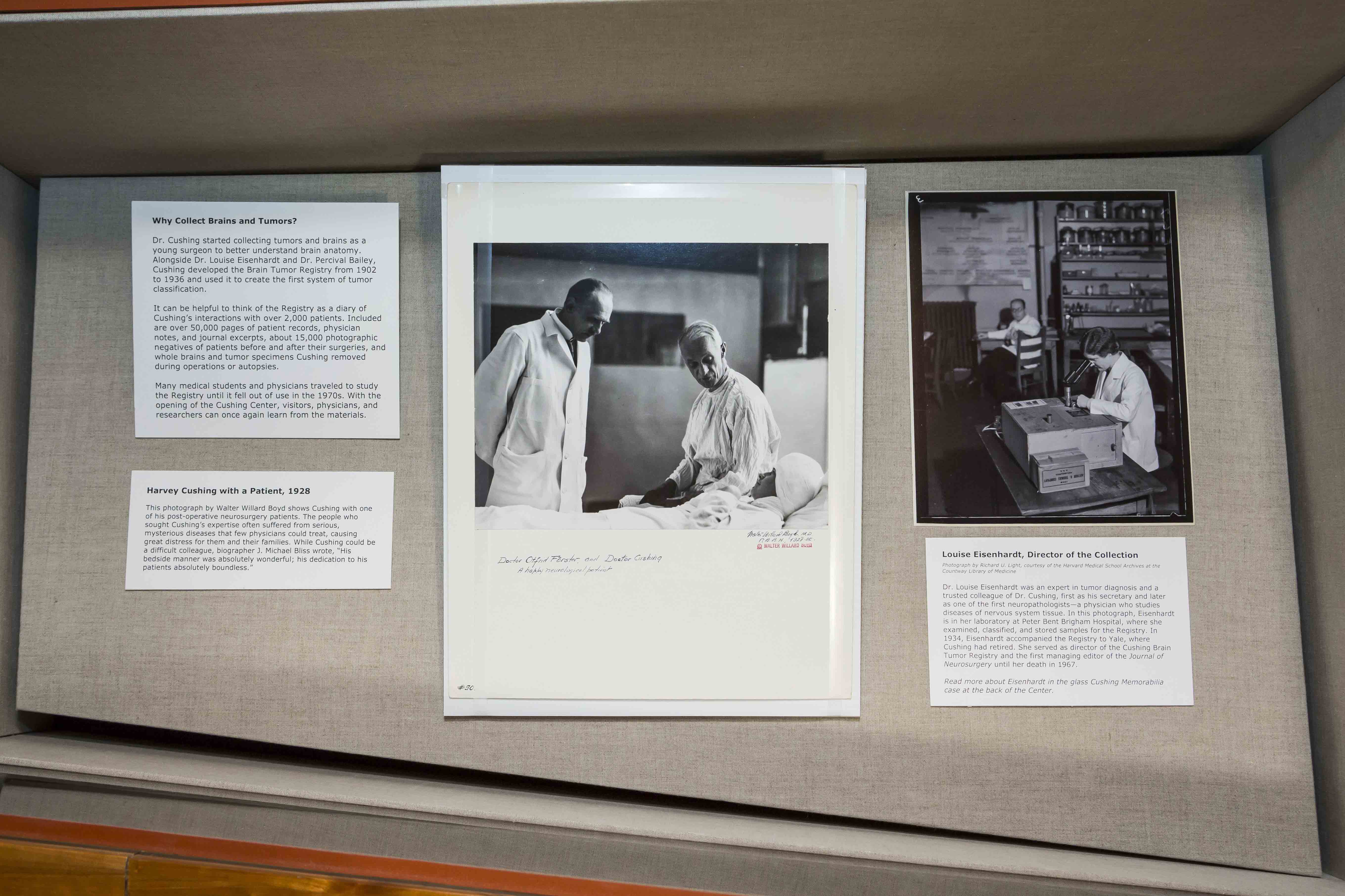 installation of exhibit, Celebraring 10 years of the, Cushing Center, Exhibit, Cushing Center display cases, Curated by Terry Dagradi & Deborah Streahle with support from Melissa Grafe