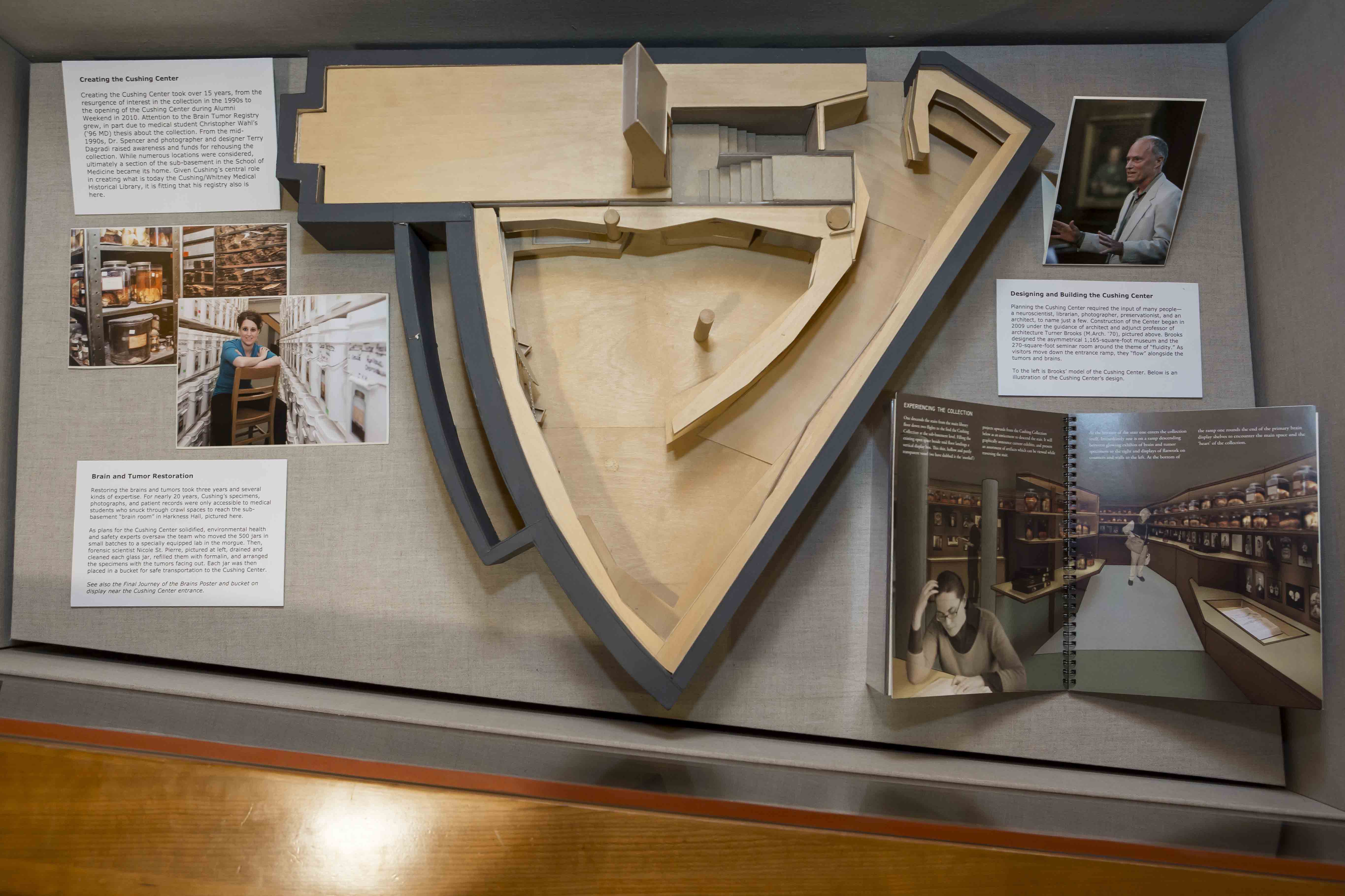 installation of exhibit, Celebraring 10 years of the, Cushing Center, Exhibit, Cushing Center display cases, Curated by Terry Dagradi & Deborah Streahle with support from Melissa Grafe