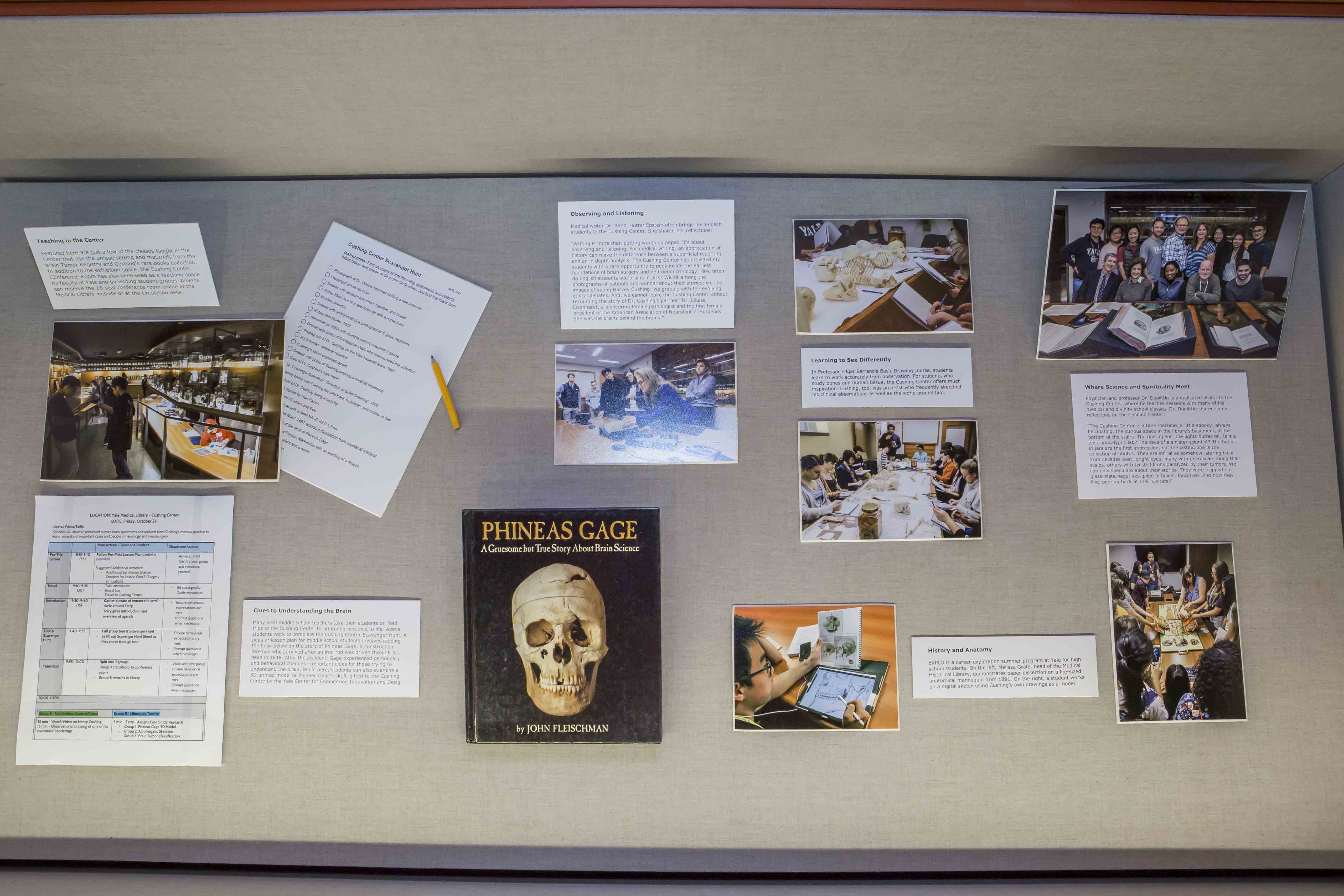 installation of exhibit, Celebraring 10 years of the, Cushing Center, Exhibit, Cushing Center display cases, Curated by Terry Dagradi & Deborah Streahle with support from Melissa Grafe