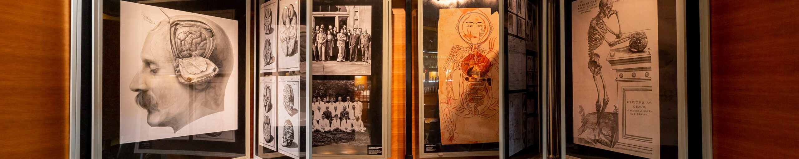 open display case showing large prints